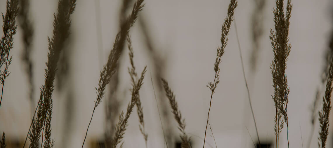 Grass strands