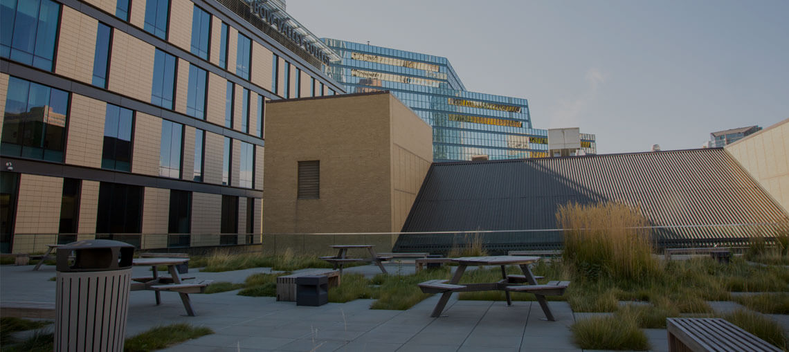 Bow Valley College patio view of building