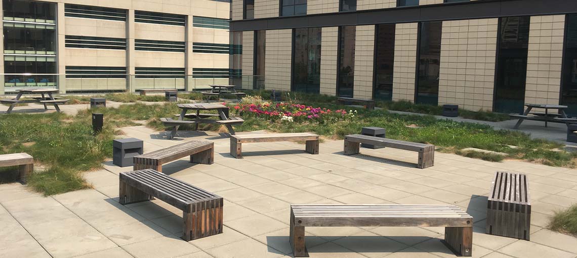 South Campus Terrace