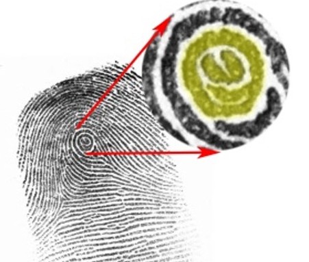 Former police officer teaches students real-life forensic insights