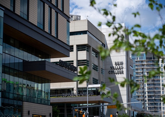 Celebrating awards season at Bow Valley College