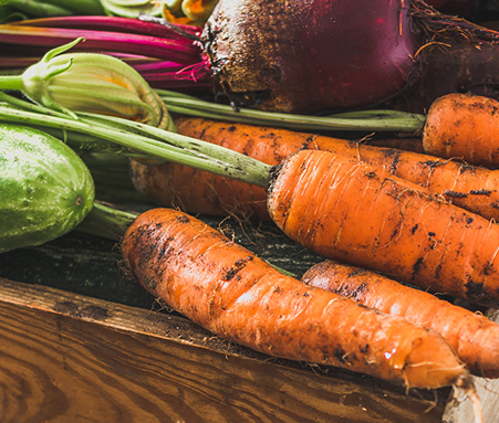Have a Happy, Sustainable Thanksgiving